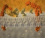 Lipid Types: Storage, Structural Lipids & Others