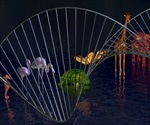 What is Comparative Genomics?