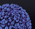 New approach doubles chemotherapy effectiveness by targeting cancer cell memory