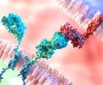 CHOP researchers unlock 3D structure of crucial protein for cancer therapy