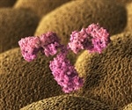 Characterization of antibodies targeting ASO modifications for intracellular trafficking