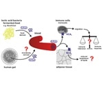 Study yields insights into evolutionary dynamics between bacteria and human hosts