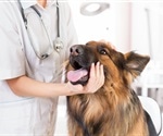 Unveiling the zoonotic web: Understanding complex interactions involved in zoonoses