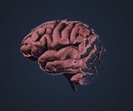 Antiviral treatment shows no benefit for early Alzheimer’s patients