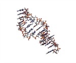Short Hairpin RNA (shRNA) Interference: Therapeutic Applications