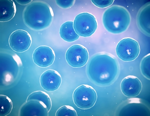 Stem Cells