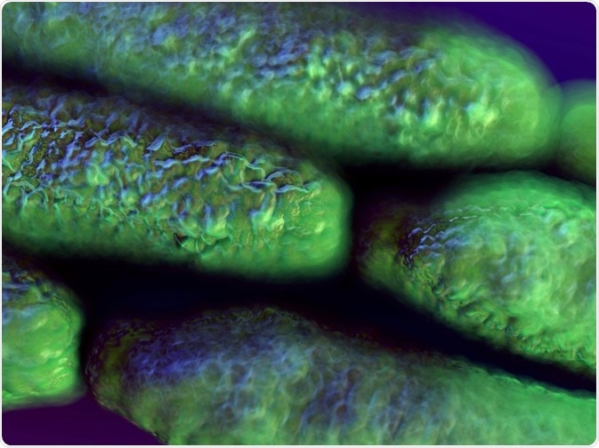 Anthrax is a serious infection caused by the bacterium Bacillus anthracis. In the past, it has been used in bioterrorism.