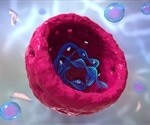 Structure and Function of the Cell Nucleus