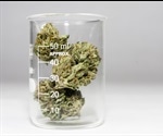 Which type of chromatography is best for cannabis analysis?