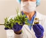 Cannabis could help people with opioid addiction