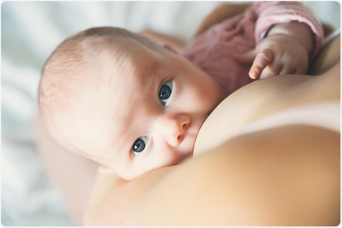 Image Credit: Natalia Deriabina / Shutterstock
