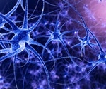 Inducing Neuronal Plasticity Using a Firing Rates Method