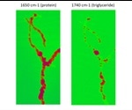 An Introduction to IR Nanochemical Mapping