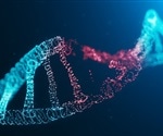 Study identifies mechanism that helps prevent cancer, neurodegeneration, and premature aging