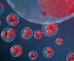 Flavonoid kaempferol could offer natural relief for food allergies