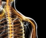 New insights reveal how sugar metabolism protects neurons from degeneration
