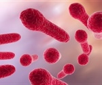 Researchers call for botulism testing in sick and healthy cows