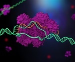 Yale scientists develop advanced CRISPR tool to study complex genetic interactions