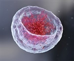 Understanding the role of LSD1 in cellular processes and disease