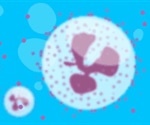 Using NGAL as a Biomarker to Assess or Identify Kidney Damage