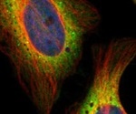 Our Commitment to Providing Quality Imaging Reagents