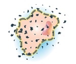A double-edged sword: reactive oxygen species and how they are detected