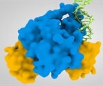 Regulatory Mechanisms Involved in Gene Expression