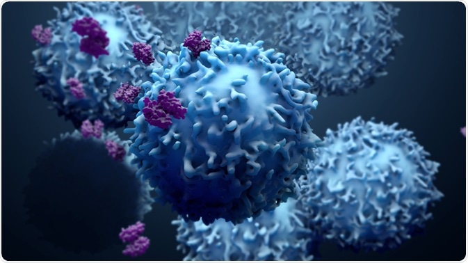 Image of cells and antibodies that could be analyzed using flow cytometry.