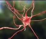 Ultra-Small Microelectrode Biosensors for Brain Injury Analysis