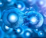 New insights reveal how FtsZ and ZapA cooperate during bacterial cell division