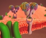 Researchers receive major boost to explore long-standing paradigm in endocrinology