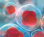 Promega Plasmid Collection, available through Addgene, equips industry and academic researchers with powerful bioluminescent assays that provide deeper insights into endogenous cellular biology