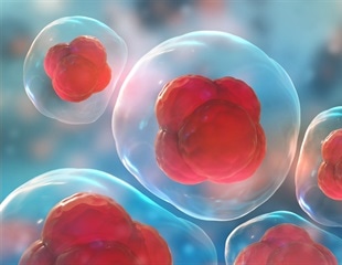 Promega Plasmid Collection, available through Addgene, equips industry and academic researchers with powerful bioluminescent assays that provide deeper insights into endogenous cellular biology