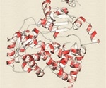 St. Jude researchers unveil mechanisms to block PXR and enhance drug potency