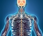 Synthetic torpor moves closer to real-world medical use