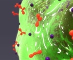 Mast cells in synovial tissue may explain why women report worse osteoarthritis pain than men