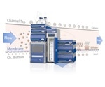 EAF2000 advances complex charged molecule studies