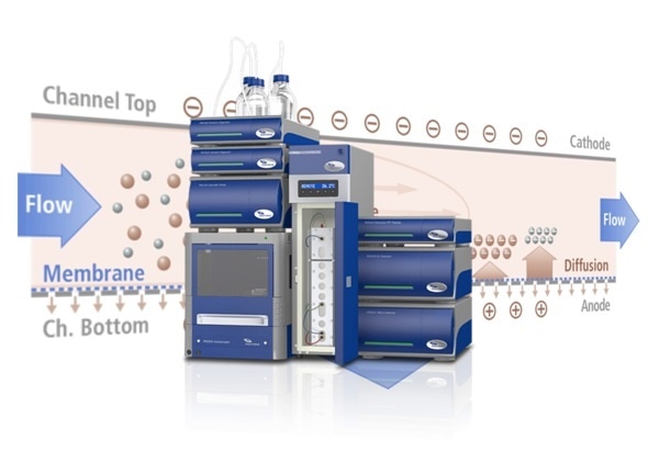 EAF2000 advances complex charged molecule studies