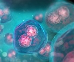 New insights reveal how FtsZ and ZapA cooperate during bacterial cell division