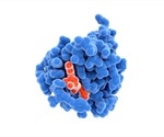 Stability Testing of Therapeutic Proteins using DLS and Machine Learning