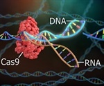 Gene-editing could shorten life instead of prolonging, suggests new study