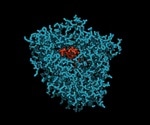 What is the Hepatic Microsomal Enzyme System?