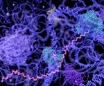Running Controls in miRNA Assays