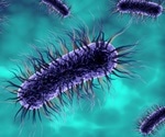 E. coli superbug can live in women’s gut without symptoms