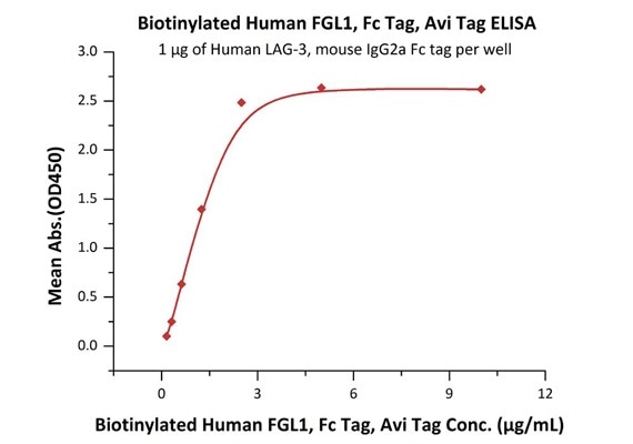 Immobilized Human LAG-3, mouse IgG2a Fc tag (Cat. No. LA3-H52Aa) at 10 μg/mL (100 μL/well) can bind Biotinylated Human FGL1, Fc Tag, Avi Tag (Cat. No. FG1-H82F3) with a linear range of 0.156–1.25 μg/mL. Immobilized Human LAG-3, mouse IgG2a Fc tag (Cat. No. LA3-H52Aa) at 10 μg/mL (100 μL/well) can bind Biotinylated Human FGL1, Fc Tag, Avi Tag (Cat. No. FG1-H82F3) with a linear range of 0.156–1.25 μg/mL.