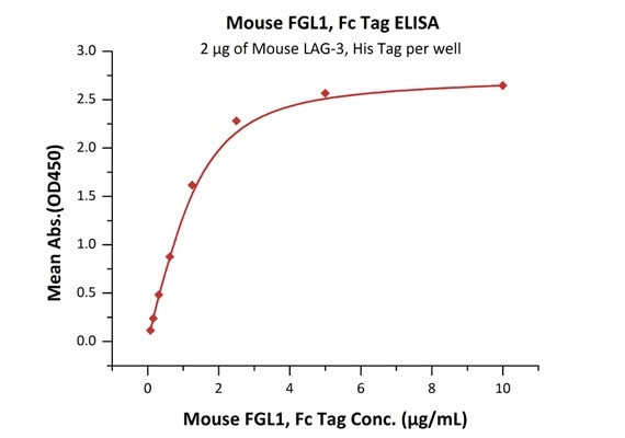 Immobilized Mouse LAG-3, His Tag (Cat. No. LA3-M52H5) at 20 μg/mL (100 μL/well) can bind Mouse FGL1, Fc Tag (Cat. No. FG1-M5255) with a linear range of 0.078–1.25 μg/mL. Immobilized Mouse LAG-3, His Tag (Cat. No. LA3-M52H5) at 20 μg/mL (100 μL/well) can bind Mouse FGL1, Fc Tag (Cat. No. FG1-M5255) with a linear range of 0.078–1.25 μg/mL.