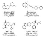 Neuronal Serotonin Receptor and Transporter Pharmacology