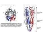 An Overview of GABA Receptor Pharmacology