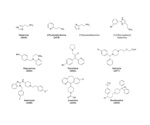 A Review of Histamine Receptors