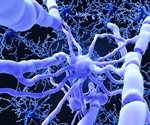 Oligodendrocyte Progenitor Cells: Production and Uses